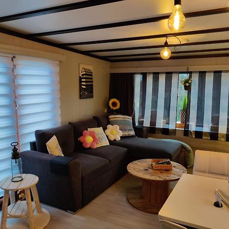 Tiny Beachhouse Belgium, Wenduine Otel Dış mekan fotoğraf